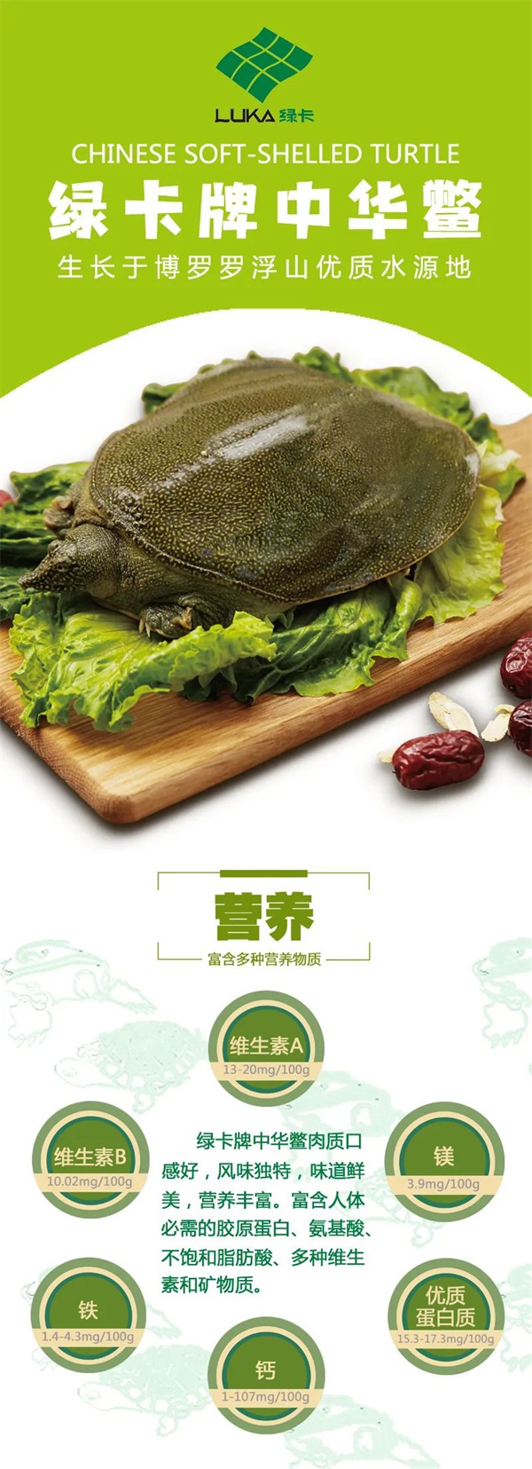 圖片2.JPG
